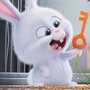 Avatar du membre